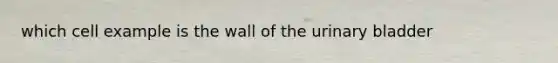 which cell example is the wall of the urinary bladder