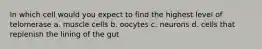 In which cell would you expect to find the highest level of telomerase a. muscle cells b. oocytes c. neurons d. cells that replenish the lining of the gut