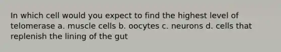 In which cell would you expect to find the highest level of telomerase a. muscle cells b. oocytes c. neurons d. cells that replenish the lining of the gut