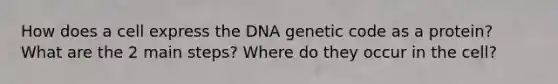 How does a cell express the DNA genetic code as a protein? What are the 2 main steps? Where do they occur in the cell?