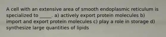 A cell with an extensive area of smooth endoplasmic reticulum is specialized to _____. a) actively export protein molecules b) import and export protein molecules c) play a role in storage d) synthesize large quantities of lipids