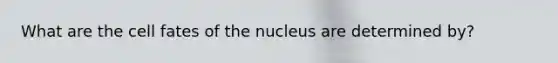 What are the cell fates of the nucleus are determined by?