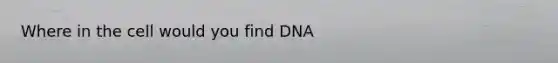 Where in the cell would you find DNA