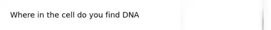 Where in the cell do you find DNA