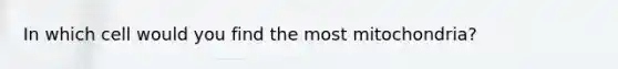 In which cell would you find the most mitochondria?