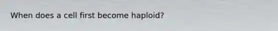 When does a cell first become haploid?