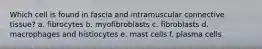 Which cell is found in fascia and intramuscular connective tissue? a. fibrocytes b. myofibroblasts c. fibroblasts d. macrophages and histiocytes e. mast cells f. plasma cells