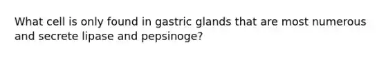 What cell is only found in gastric glands that are most numerous and secrete lipase and pepsinoge?