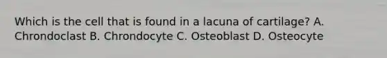 Which is the cell that is found in a lacuna of cartilage? A. Chrondoclast B. Chrondocyte C. Osteoblast D. Osteocyte