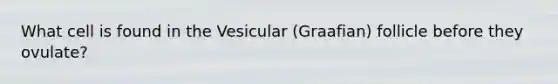 What cell is found in the Vesicular (Graafian) follicle before they ovulate?