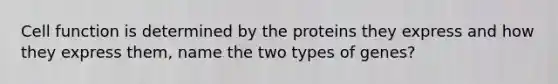 Cell function is determined by the proteins they express and how they express them, name the two types of genes?