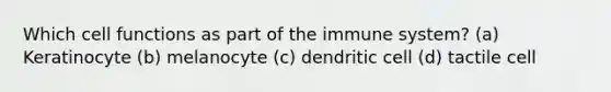 Which cell functions as part of the immune system? (a) Keratinocyte (b) melanocyte (c) dendritic cell (d) tactile cell