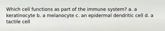 Which cell functions as part of the immune system? a. a keratinocyte b. a melanocyte c. an epidermal dendritic cell d. a tactile cell