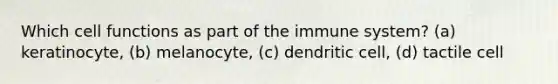 Which cell functions as part of the immune system? (a) keratinocyte, (b) melanocyte, (c) dendritic cell, (d) tactile cell