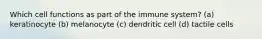 Which cell functions as part of the immune system? (a) keratinocyte (b) melanocyte (c) dendritic cell (d) tactile cells