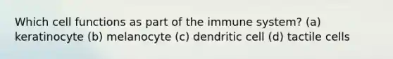 Which cell functions as part of the immune system? (a) keratinocyte (b) melanocyte (c) dendritic cell (d) tactile cells