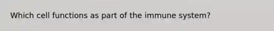 Which cell functions as part of the immune system?