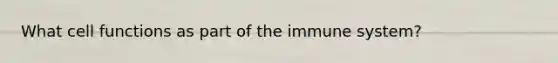 What cell functions as part of the immune system?