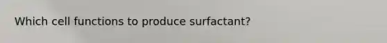 Which cell functions to produce surfactant?