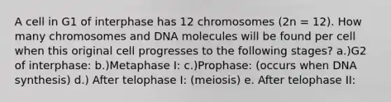 A cell in G1 of interphase has 12 chromosomes (2n = 12). How many chromosomes and DNA molecules will be found per cell when this original cell progresses to the following stages? a.)G2 of interphase: b.)Metaphase I: c.)Prophase: (occurs when DNA synthesis) d.) After telophase I: (meiosis) e. After telophase II: