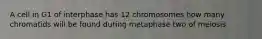 A cell in G1 of interphase has 12 chromosomes how many chromatids will be found during metaphase two of meiosis