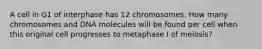 A cell in G1 of interphase has 12 chromosomes. How many chromosomes and DNA molecules will be found per cell when this original cell progresses to metaphase I of meiosis?