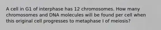 A cell in G1 of interphase has 12 chromosomes. How many chromosomes and DNA molecules will be found per cell when this original cell progresses to metaphase I of meiosis?