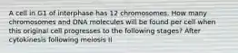 A cell in G1 of interphase has 12 chromosomes. How many chromosomes and DNA molecules will be found per cell when this original cell progresses to the following stages? After cytokinesis following meiosis II