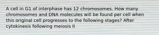 A cell in G1 of interphase has 12 chromosomes. How many chromosomes and DNA molecules will be found per cell when this original cell progresses to the following stages? After cytokinesis following meiosis II