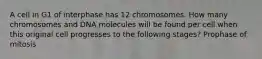 A cell in G1 of interphase has 12 chromosomes. How many chromosomes and DNA molecules will be found per cell when this original cell progresses to the following stages? Prophase of mitosis