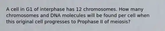 A cell in G1 of interphase has 12 chromosomes. How many chromosomes and DNA molecules will be found per cell when this original cell progresses to Prophase II of meiosis?