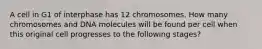 A cell in G1 of interphase has 12 chromosomes. How many chromosomes and DNA molecules will be found per cell when this original cell progresses to the following stages?