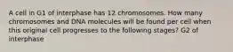 A cell in G1 of interphase has 12 chromosomes. How many chromosomes and DNA molecules will be found per cell when this original cell progresses to the following stages? G2 of interphase