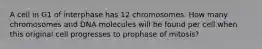 A cell in G1 of interphase has 12 chromosomes. How many chromosomes and DNA molecules will be found per cell when this original cell progresses to prophase of mitosis?