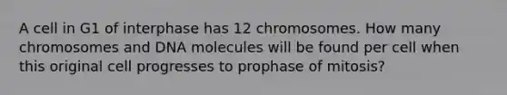 A cell in G1 of interphase has 12 chromosomes. How many chromosomes and DNA molecules will be found per cell when this original cell progresses to prophase of mitosis?