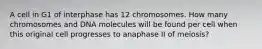 A cell in G1 of interphase has 12 chromosomes. How many chromosomes and DNA molecules will be found per cell when this original cell progresses to anaphase II of meiosis?