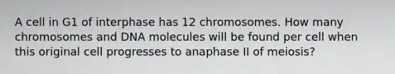 A cell in G1 of interphase has 12 chromosomes. How many chromosomes and DNA molecules will be found per cell when this original cell progresses to anaphase II of meiosis?