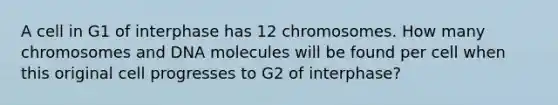 A cell in G1 of interphase has 12 chromosomes. How many chromosomes and DNA molecules will be found per cell when this original cell progresses to G2 of interphase?