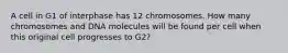 A cell in G1 of interphase has 12 chromosomes. How many chromosomes and DNA molecules will be found per cell when this original cell progresses to G2?