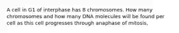 A cell in G1 of interphase has 8 chromosomes. How many chromosomes and how many DNA molecules will be found per cell as this cell progresses through anaphase of mitosis,