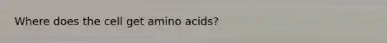 Where does the cell get amino acids?