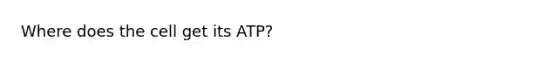 Where does the cell get its ATP?