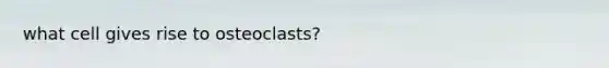 what cell gives rise to osteoclasts?