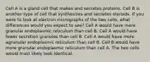 Cell A is a gland cell that makes and secretes proteins. Cell B is another type of cell that synthesizes and secretes steroids. If you were to look at electron micrographs of the two cells, what differences would you expect to see? Cell A would have more granular endoplasmic reticulum than cell B. Cell A would have fewer secretion granules than cell B. Cell A would have more agranular endoplasmic reticulum than cell B. Cell B would have more granular endoplasmic reticulum than cell A. The two cells would most likely look identical.