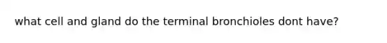 what cell and gland do the terminal bronchioles dont have?