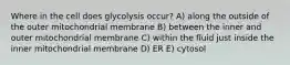 Where in the cell does glycolysis occur? A) along the outside of the outer mitochondrial membrane B) between the inner and outer mitochondrial membrane C) within the fluid just inside the inner mitochondrial membrane D) ER E) cytosol