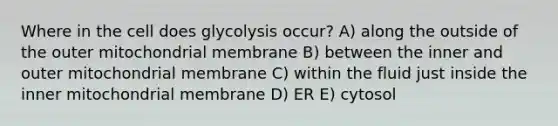 Where in the cell does glycolysis occur? A) along the outside of the outer mitochondrial membrane B) between the inner and outer mitochondrial membrane C) within the fluid just inside the inner mitochondrial membrane D) ER E) cytosol