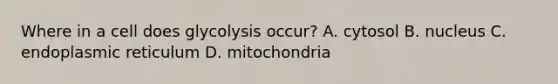 Where in a cell does glycolysis occur? A. cytosol B. nucleus C. endoplasmic reticulum D. mitochondria