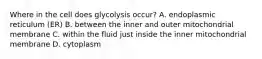 Where in the cell does glycolysis occur? A. endoplasmic reticulum (ER) B. between the inner and outer mitochondrial membrane C. within the fluid just inside the inner mitochondrial membrane D. cytoplasm