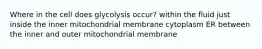 Where in the cell does glycolysis occur? within the fluid just inside the inner mitochondrial membrane cytoplasm ER between the inner and outer mitochondrial membrane